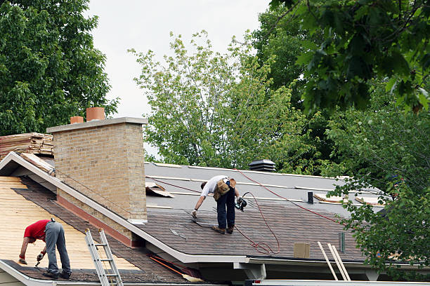 Best Roof Moss and Algae Removal  in Cowarts, AL